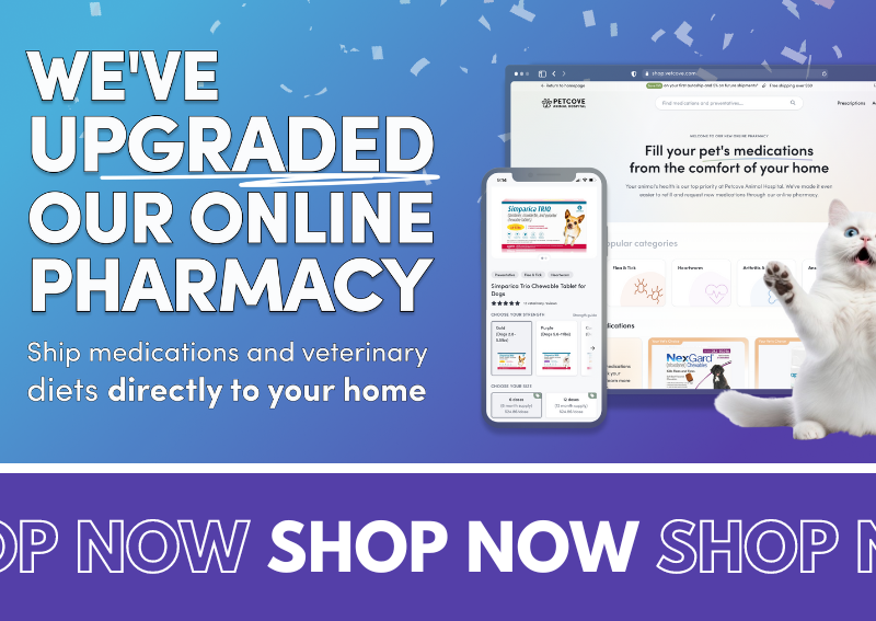 Carousel Slide 3: We have updated our new pharmacy!